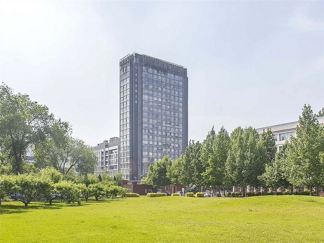 活化淡斑霜真能去斑吗